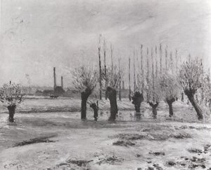 Le rive dell